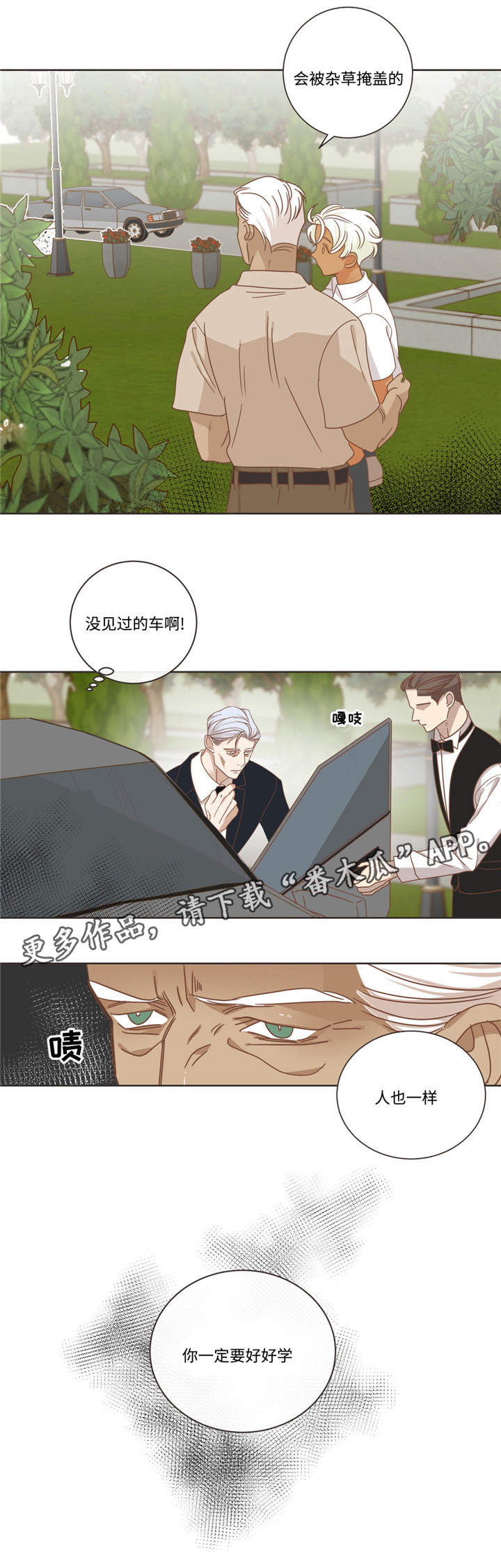 《蛇族烙印》漫画最新章节第68章什么关系免费下拉式在线观看章节第【1】张图片