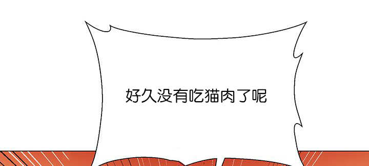 《旷野之息》漫画最新章节第15章逃不掉了免费下拉式在线观看章节第【19】张图片