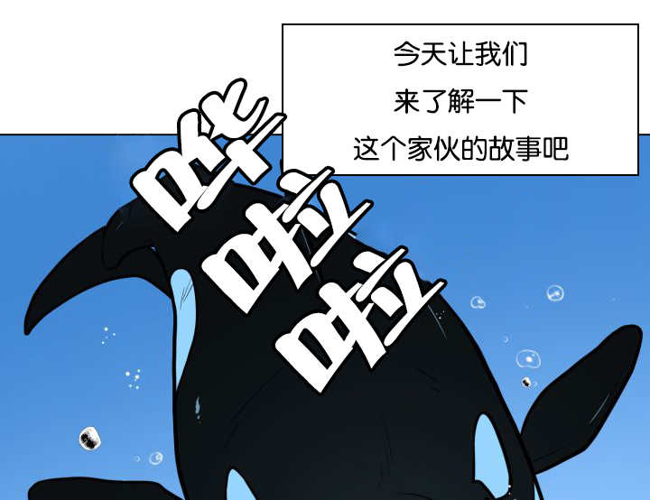 《旷野之息》漫画最新章节第24章再来一次免费下拉式在线观看章节第【13】张图片