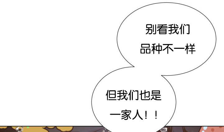 《旷野之息》漫画最新章节第26章辛苦你了免费下拉式在线观看章节第【39】张图片