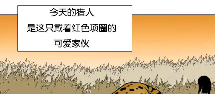 《旷野之息》漫画最新章节第43章寂静之下免费下拉式在线观看章节第【9】张图片