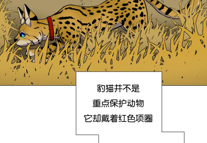 《旷野之息》漫画最新章节第43章寂静之下免费下拉式在线观看章节第【8】张图片