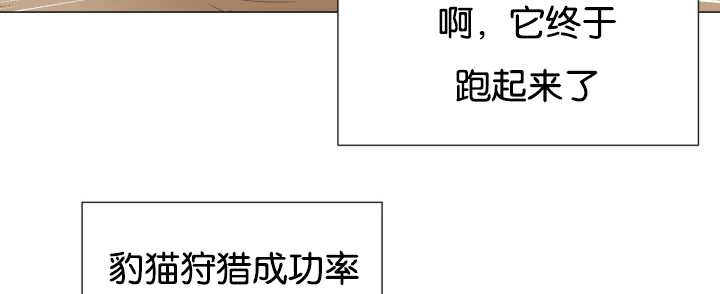 《旷野之息》漫画最新章节第43章寂静之下免费下拉式在线观看章节第【3】张图片