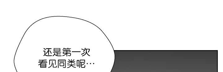 《旷野之息》漫画最新章节第68章想再见他免费下拉式在线观看章节第【65】张图片