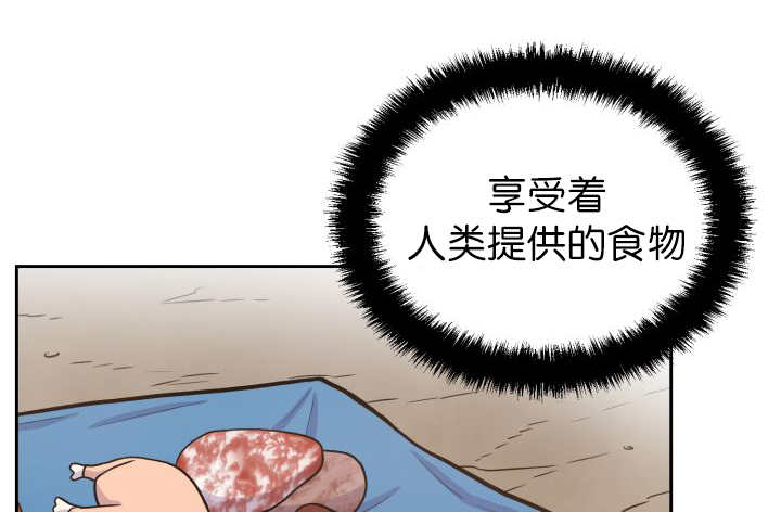 《旷野之息》漫画最新章节第85章悄声无息免费下拉式在线观看章节第【52】张图片