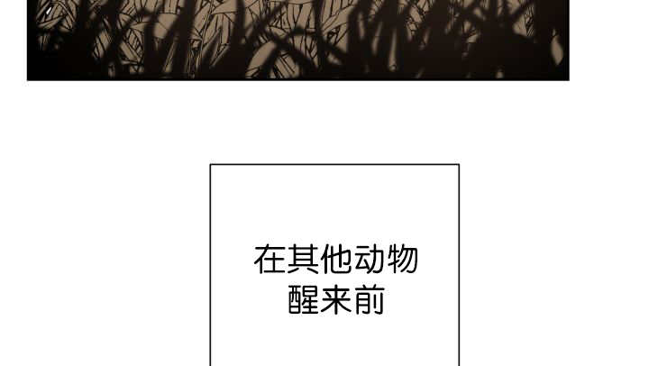 《旷野之息》漫画最新章节第85章悄声无息免费下拉式在线观看章节第【40】张图片