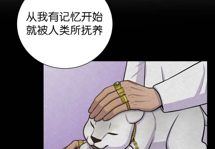 《旷野之息》漫画最新章节第87章向往外界免费下拉式在线观看章节第【83】张图片