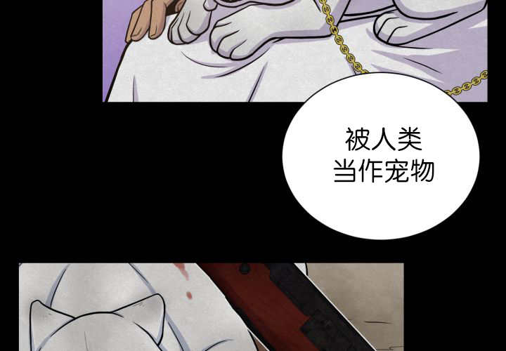 《旷野之息》漫画最新章节第87章向往外界免费下拉式在线观看章节第【82】张图片