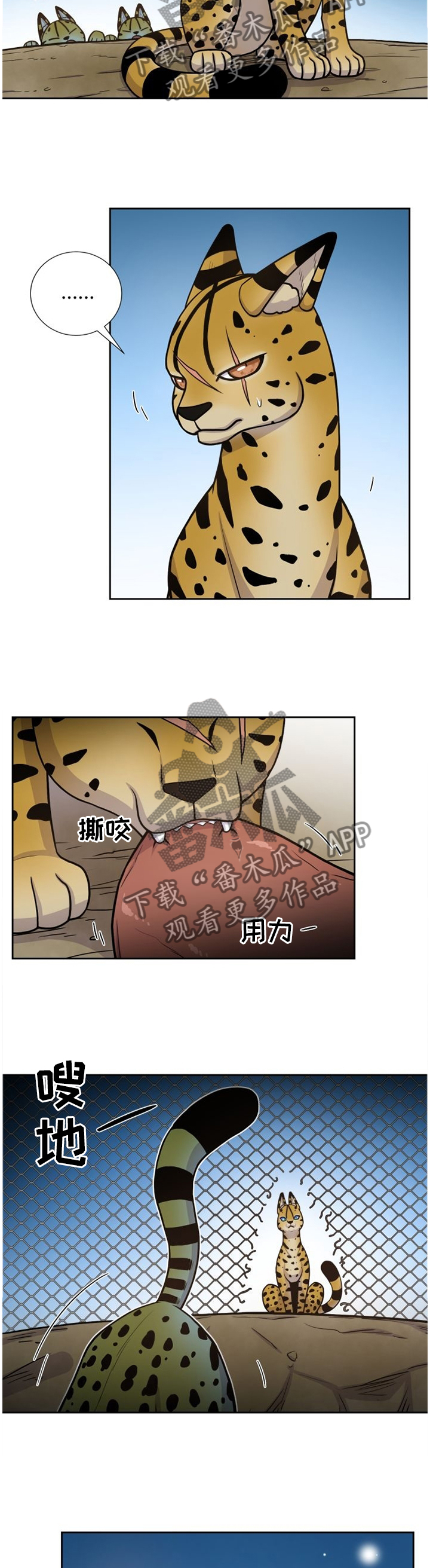 《旷野之息》漫画最新章节第88章穿过免费下拉式在线观看章节第【7】张图片