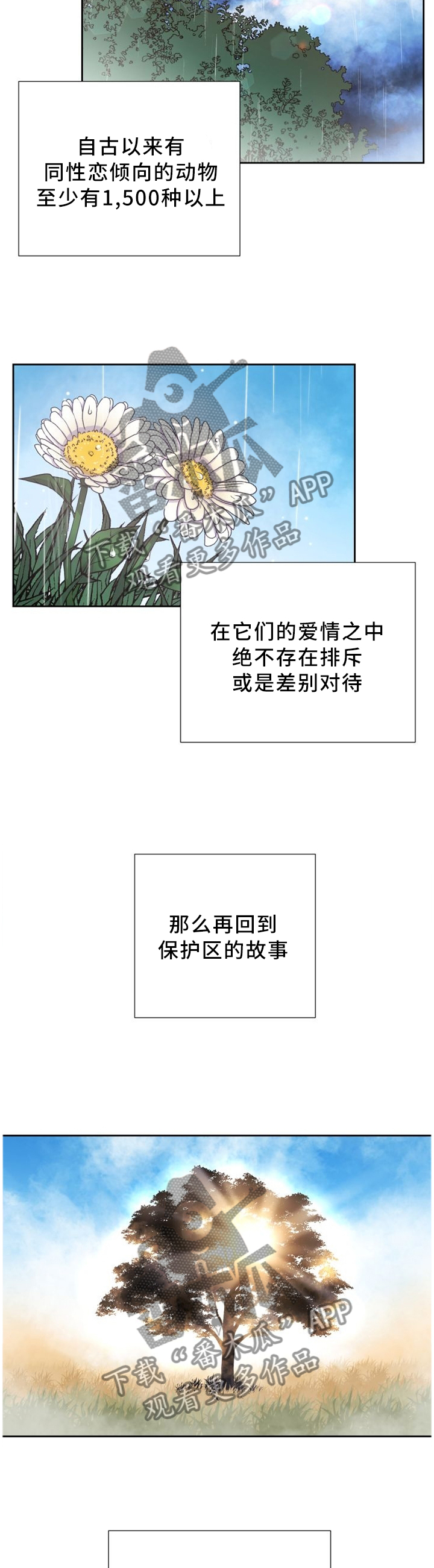 《旷野之息》漫画最新章节第91章一直在一起免费下拉式在线观看章节第【5】张图片