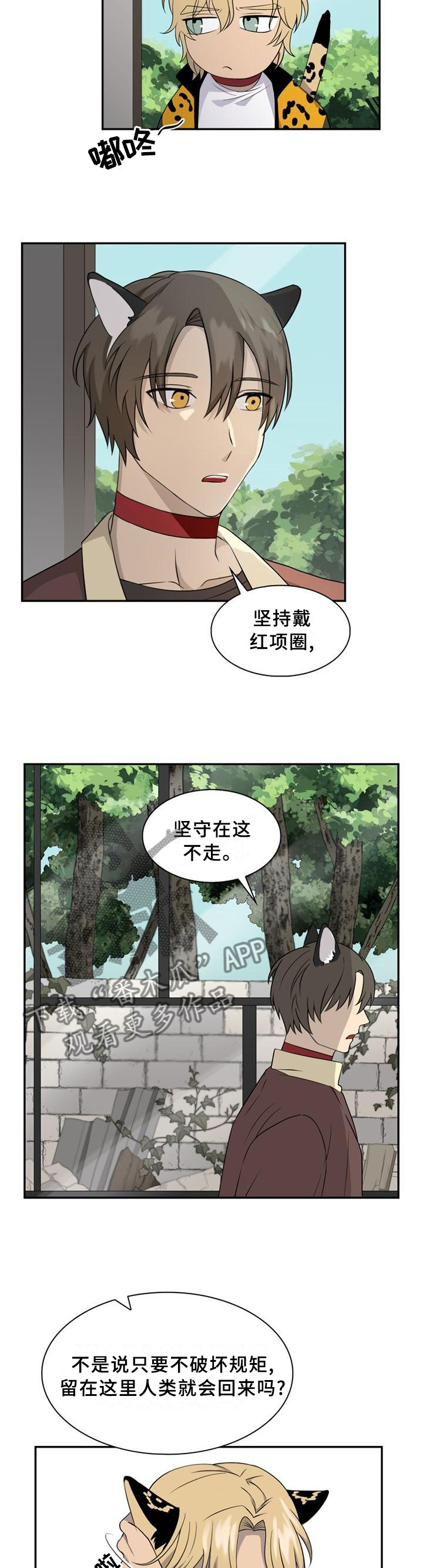 《旷野之息》漫画最新章节第96章【第二季】枪声免费下拉式在线观看章节第【11】张图片