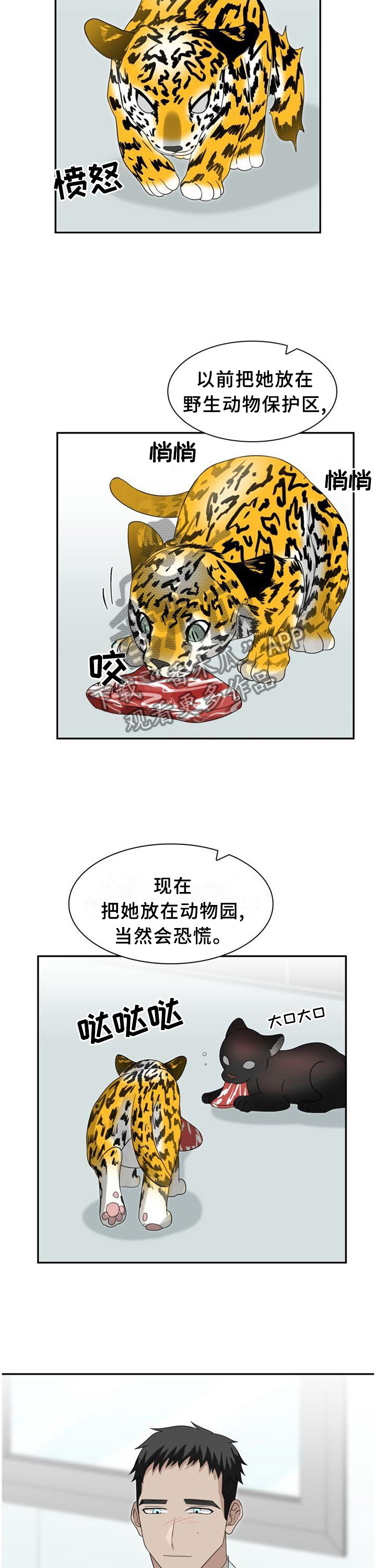 《旷野之息》漫画最新章节第124章【第二季】举报免费下拉式在线观看章节第【10】张图片