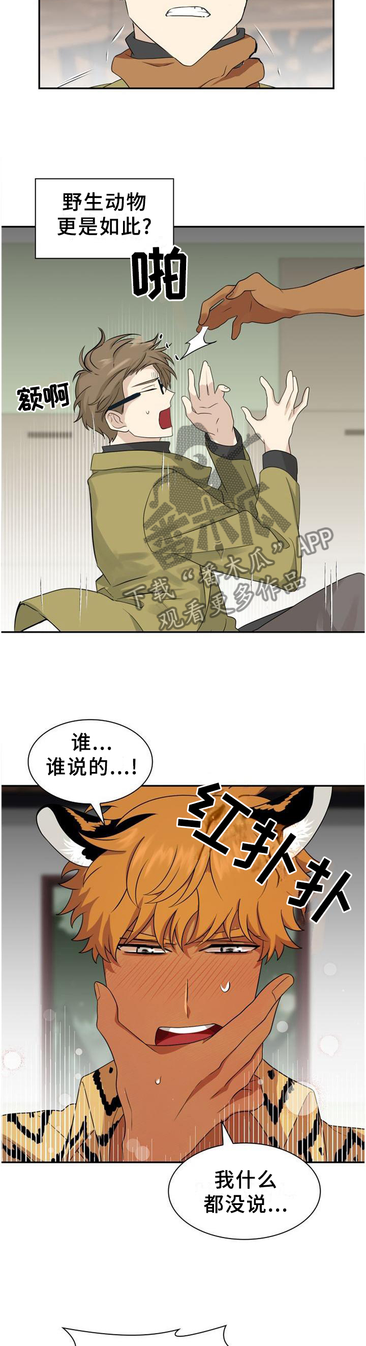 《旷野之息》漫画最新章节第126章【第二季】重要的人免费下拉式在线观看章节第【4】张图片