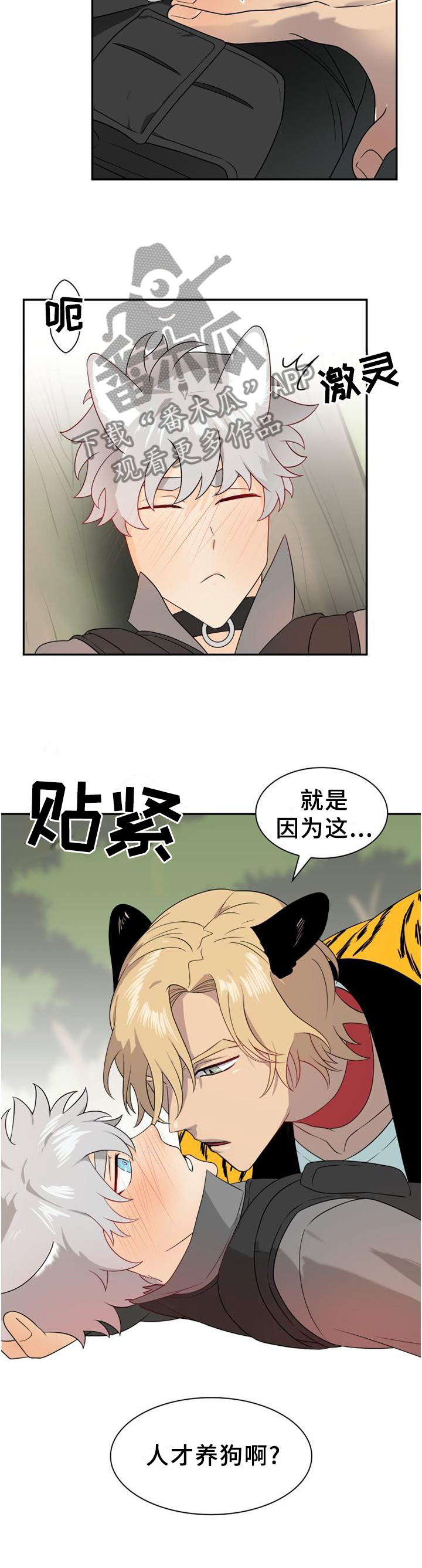 《旷野之息》漫画最新章节第131章【第二季】另一种自由免费下拉式在线观看章节第【9】张图片