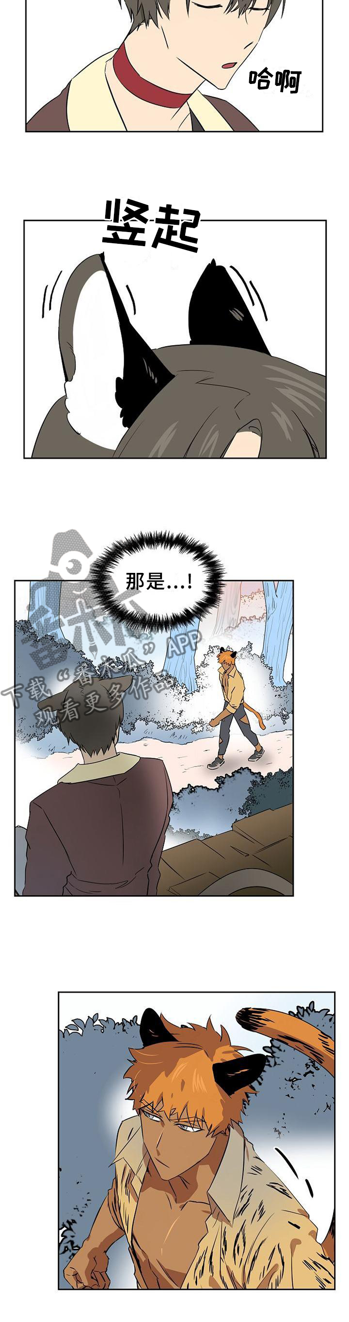 《旷野之息》漫画最新章节第135章【第二季】不敢直面的心免费下拉式在线观看章节第【8】张图片