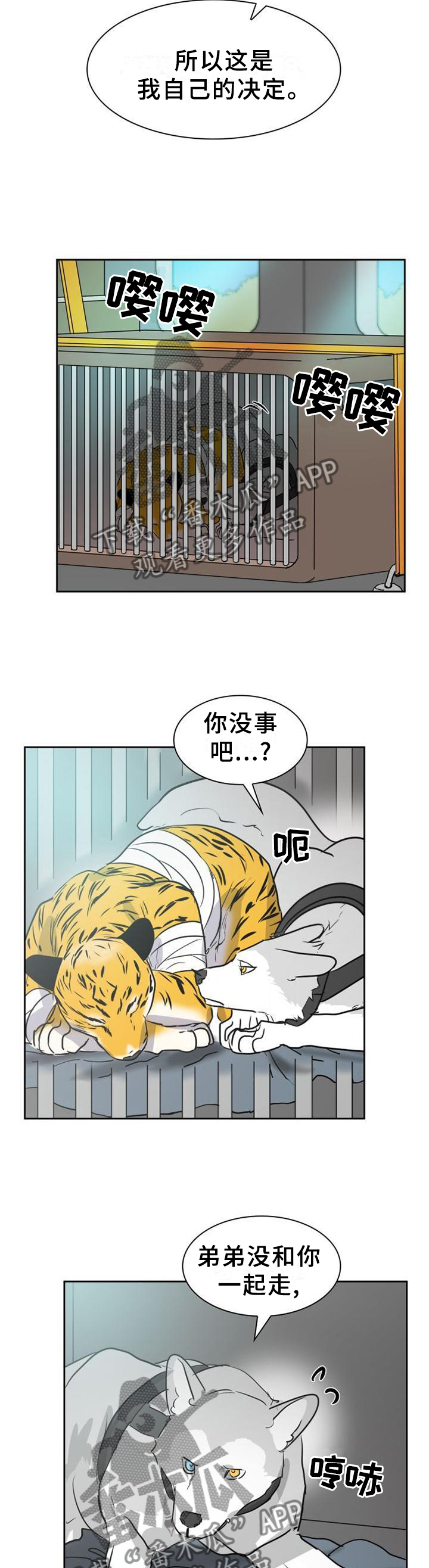 《旷野之息》漫画最新章节第138章【第二季】什么样的选择都好免费下拉式在线观看章节第【2】张图片