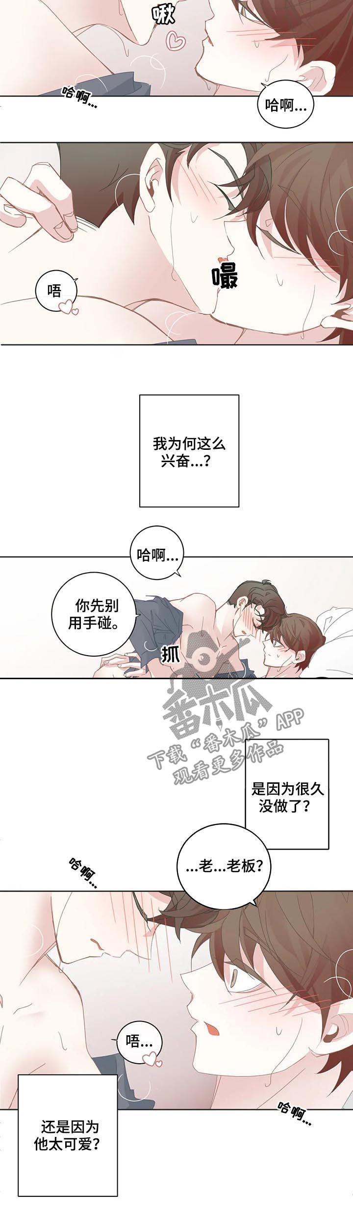 《星和东家》漫画最新章节第56章只有可爱吗免费下拉式在线观看章节第【3】张图片