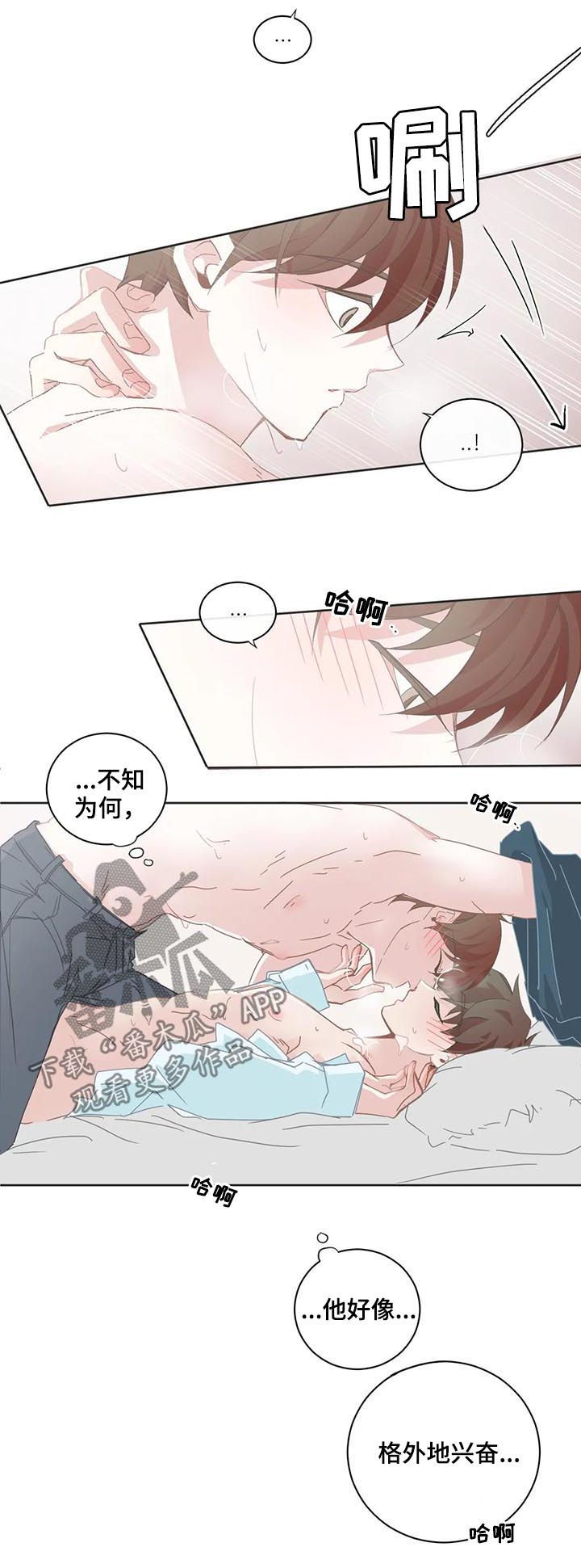 《星和东家》漫画最新章节第94章【第二季】求你了免费下拉式在线观看章节第【5】张图片