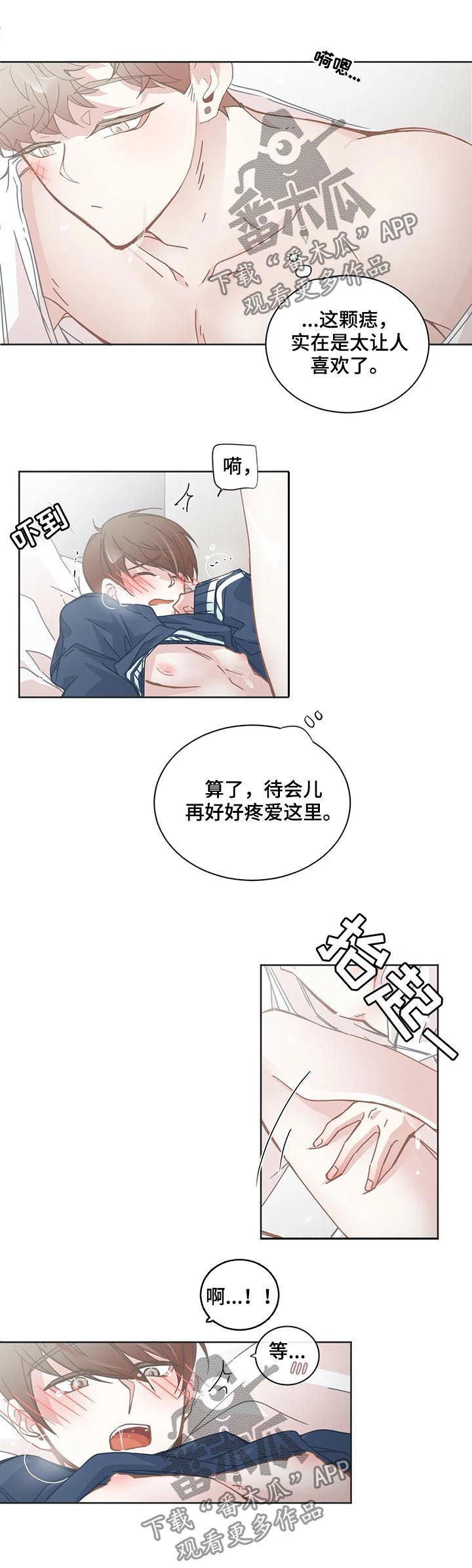 《星和东家》漫画最新章节第115章有何不可免费下拉式在线观看章节第【9】张图片