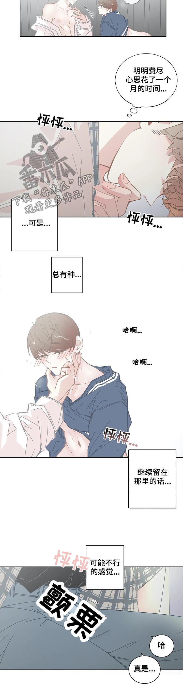 《星和东家》漫画最新章节第118章没法理解免费下拉式在线观看章节第【4】张图片