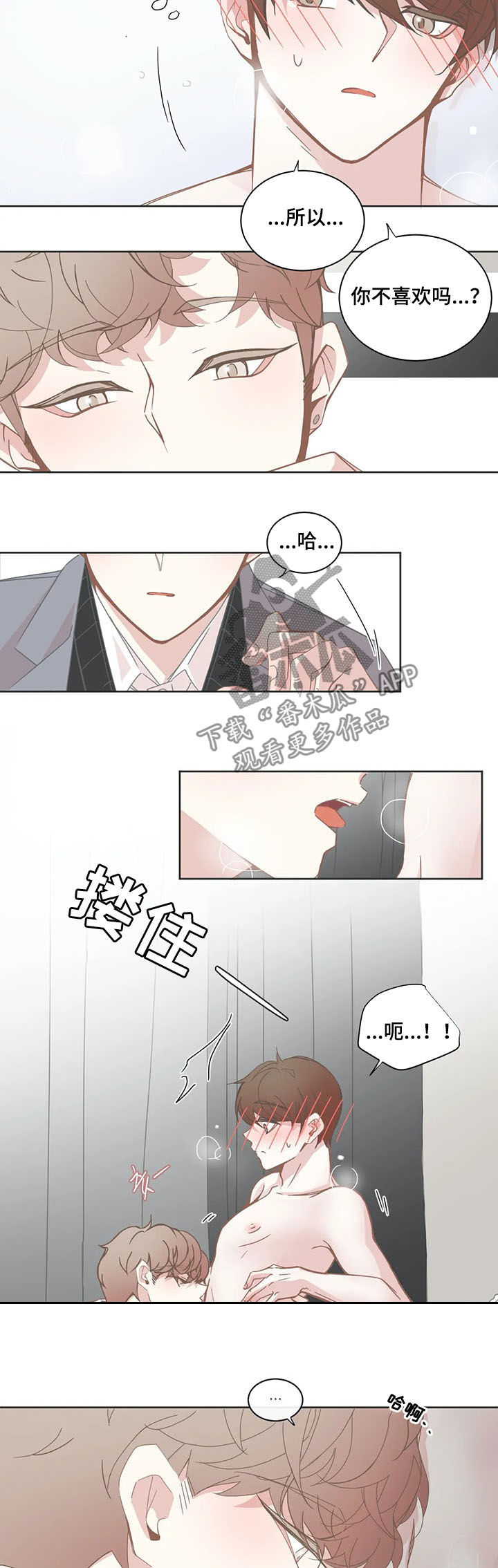 《星和东家》漫画最新章节第141章没有不喜欢免费下拉式在线观看章节第【5】张图片