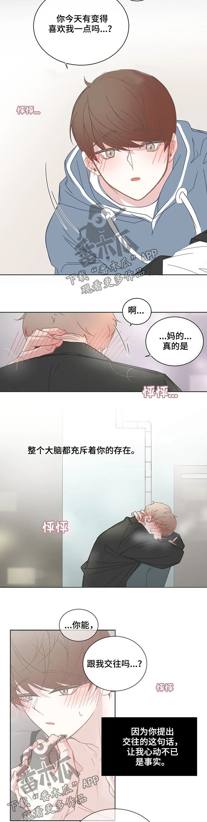 《星和东家》漫画最新章节第158章我们交往吧免费下拉式在线观看章节第【5】张图片