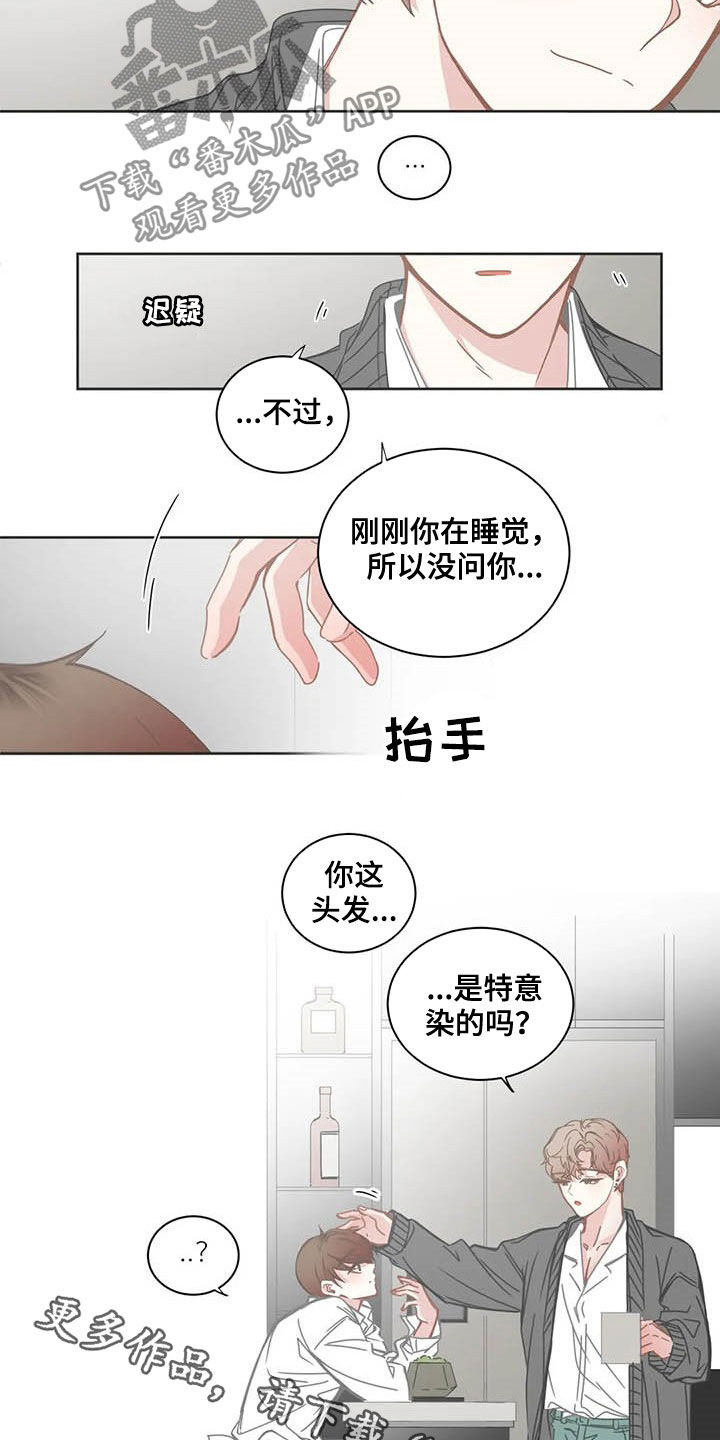 《星和东家》漫画最新章节第171章头发免费下拉式在线观看章节第【2】张图片