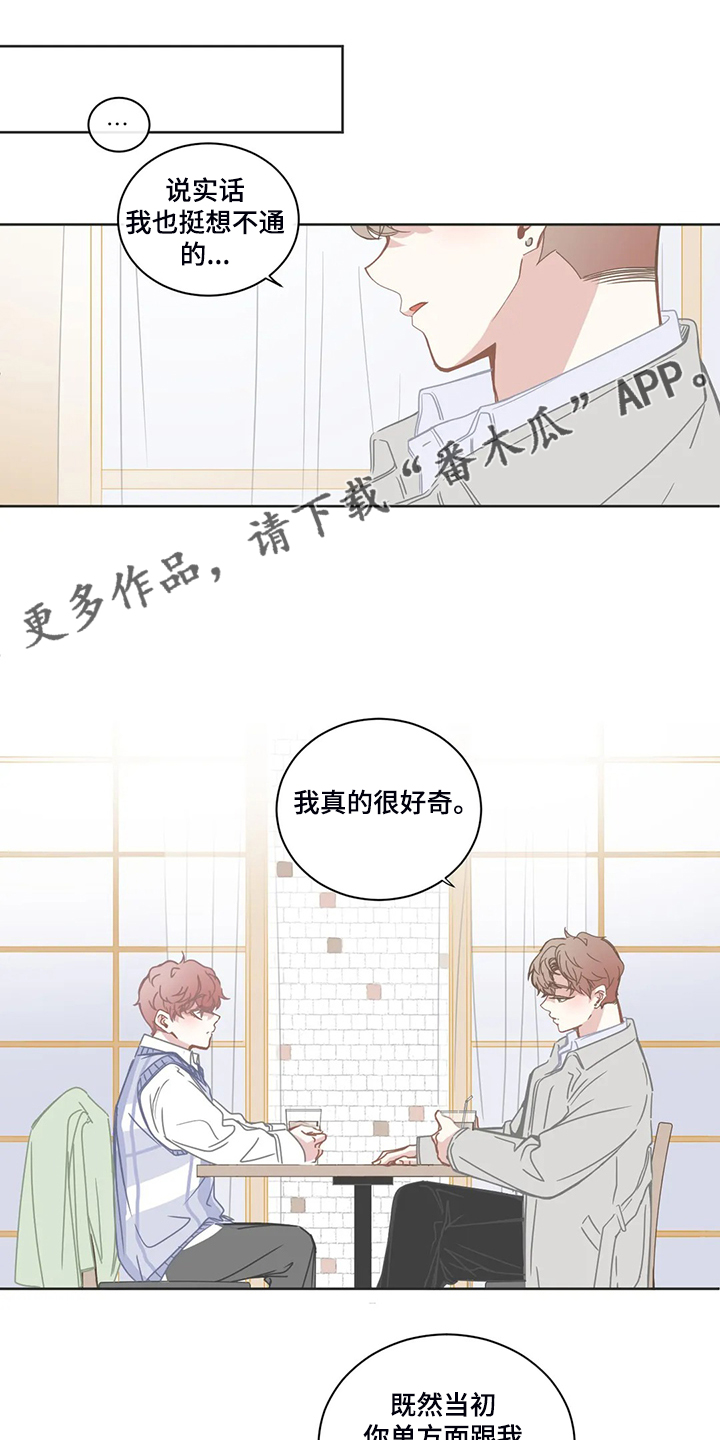 《星和东家》漫画最新章节第219章抱有期待免费下拉式在线观看章节第【14】张图片