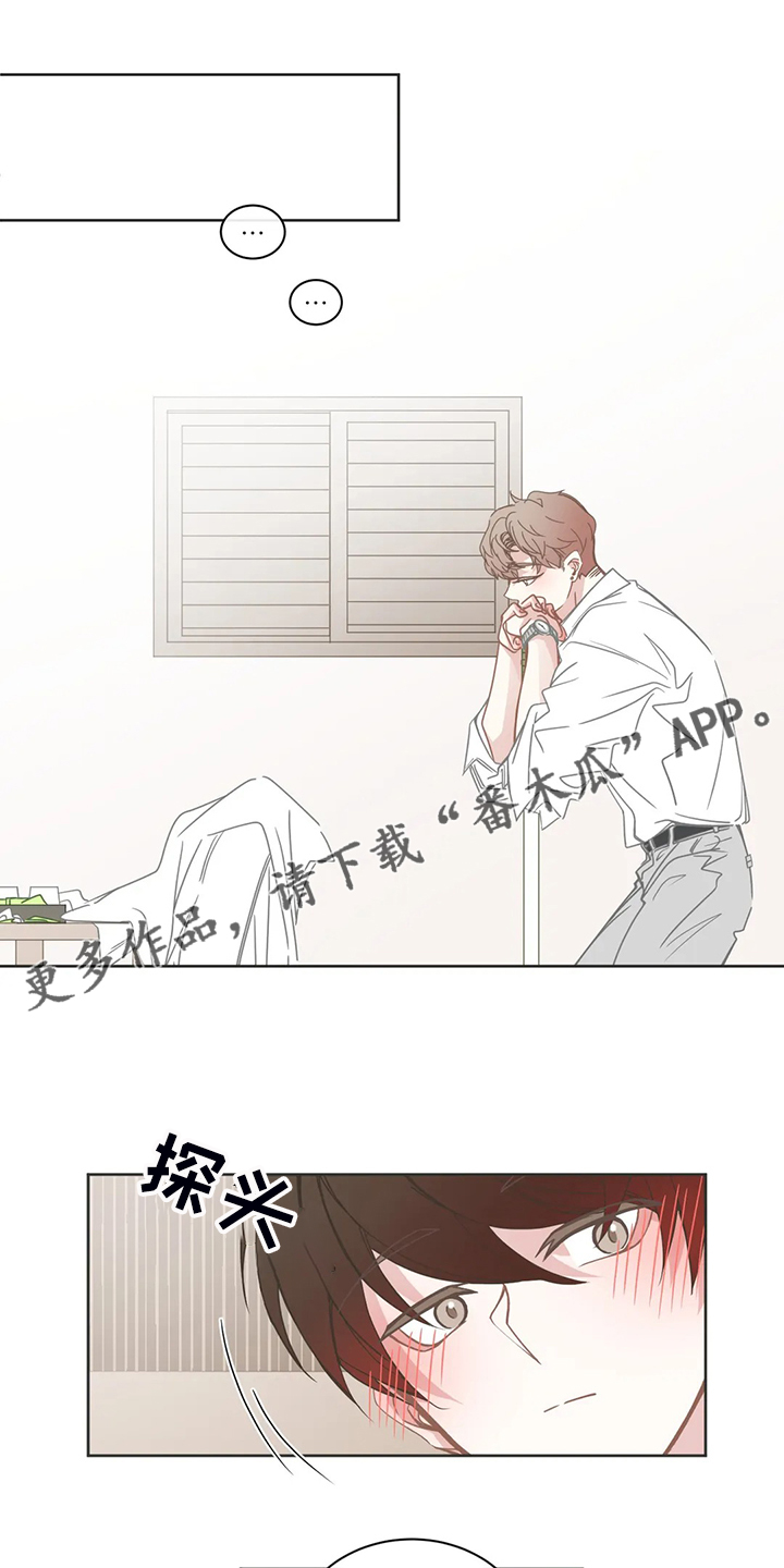 《星和东家》漫画最新章节第248章你来了免费下拉式在线观看章节第【19】张图片