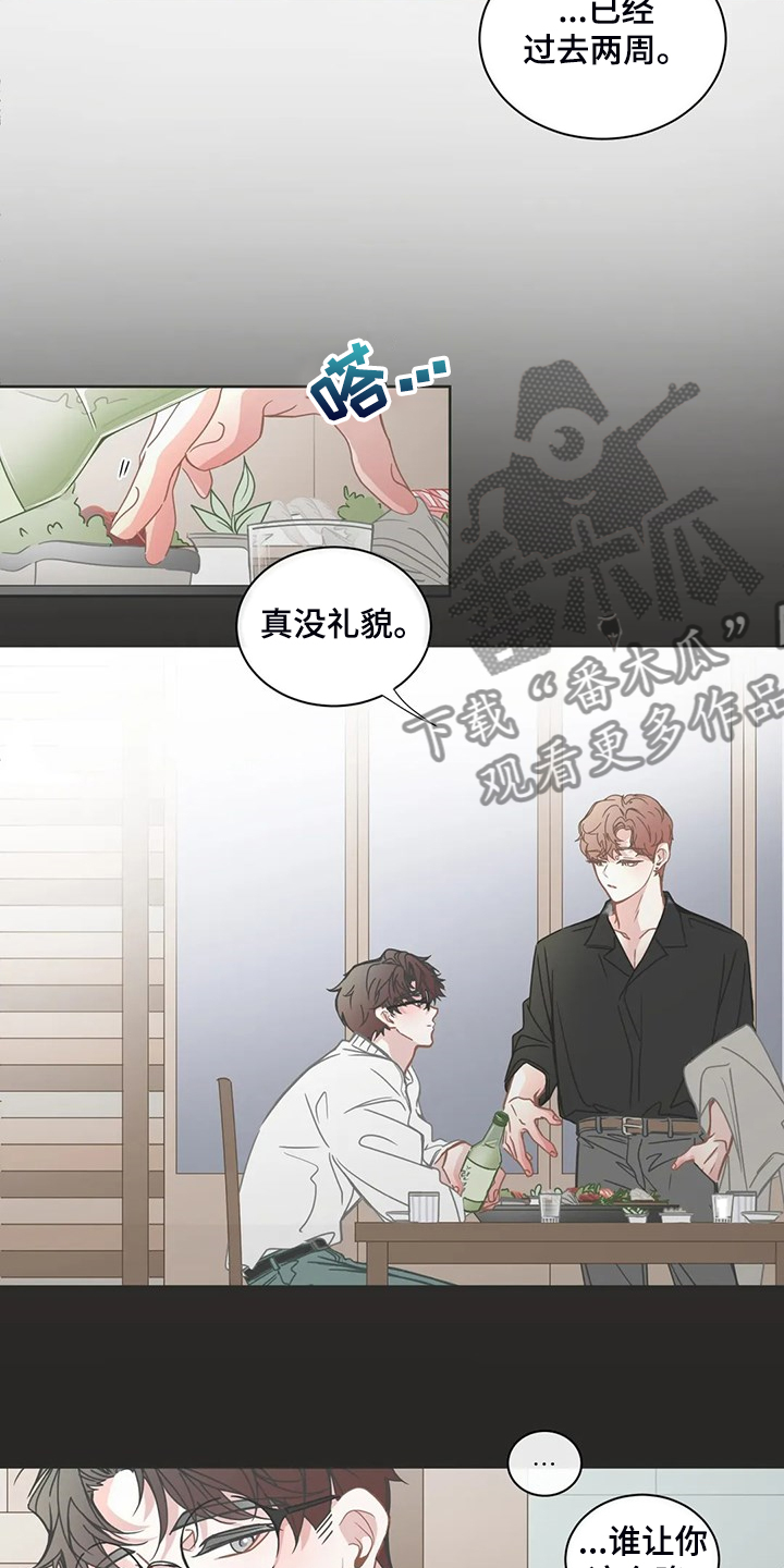 《星和东家》漫画最新章节第254章准备放弃免费下拉式在线观看章节第【12】张图片