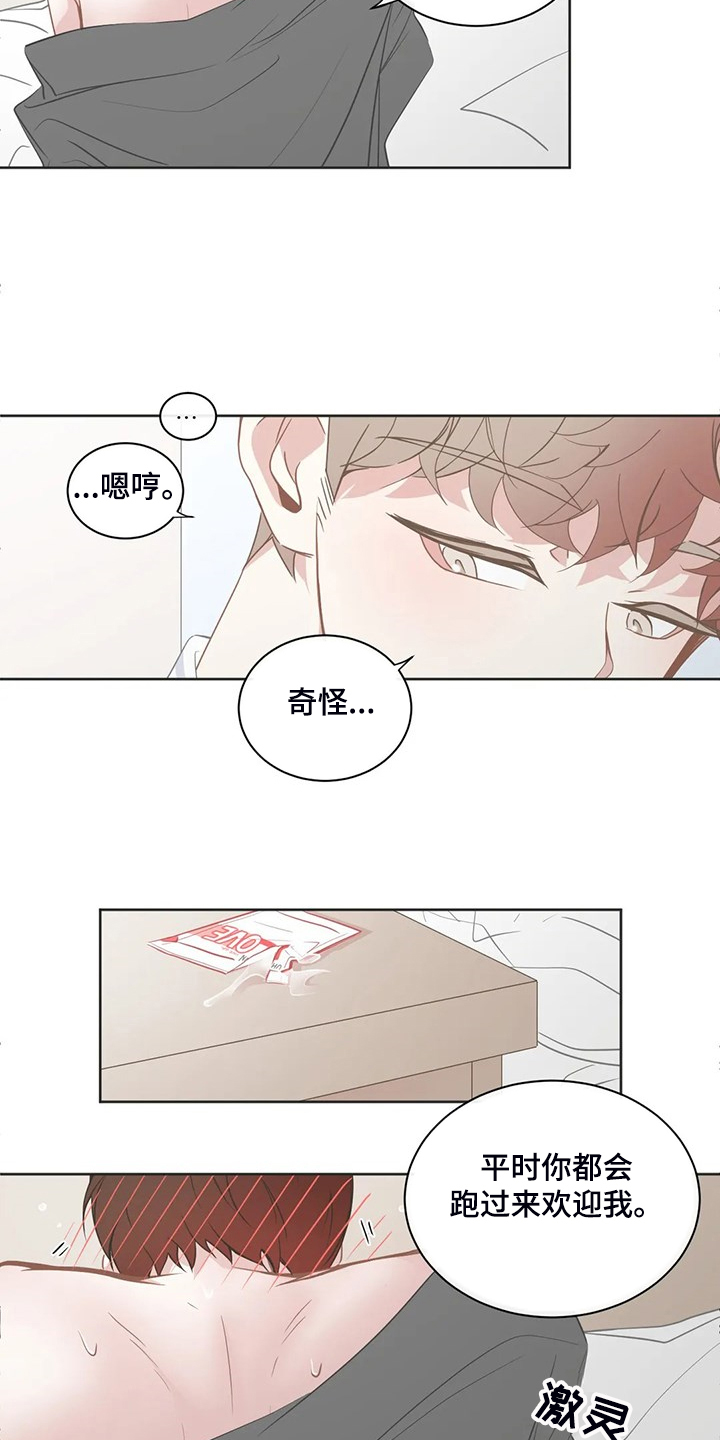 《星和东家》漫画最新章节第257章我教你怎么用免费下拉式在线观看章节第【15】张图片