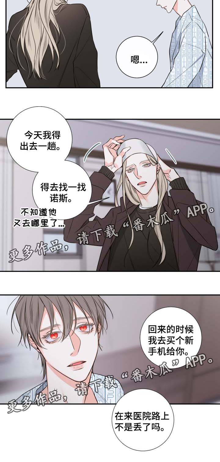 《半血族》漫画最新章节第43章寻找免费下拉式在线观看章节第【18】张图片