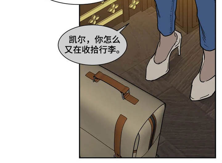 《英伦式流言》漫画最新章节第98章分道扬镳免费下拉式在线观看章节第【11】张图片