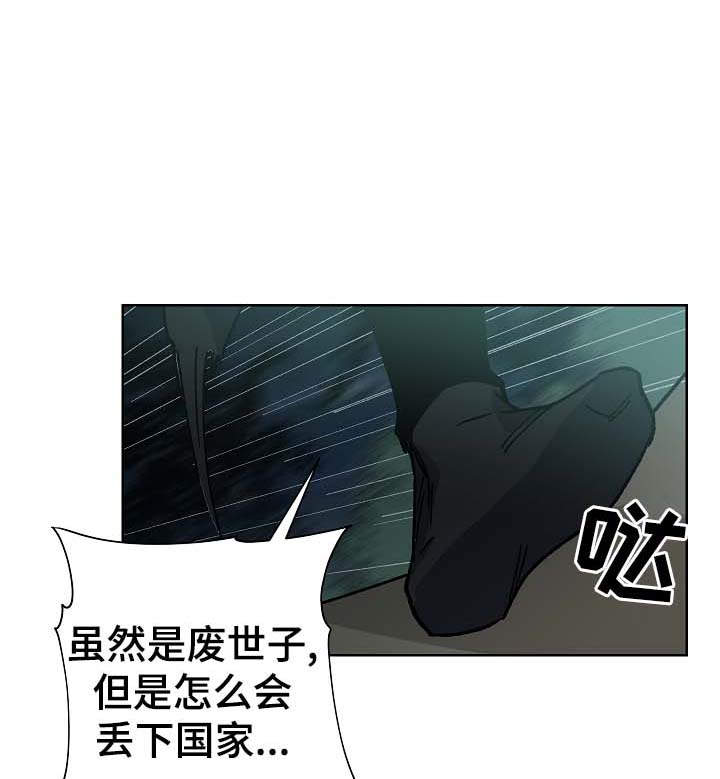 《王储难保》漫画最新章节第71章刺客免费下拉式在线观看章节第【5】张图片