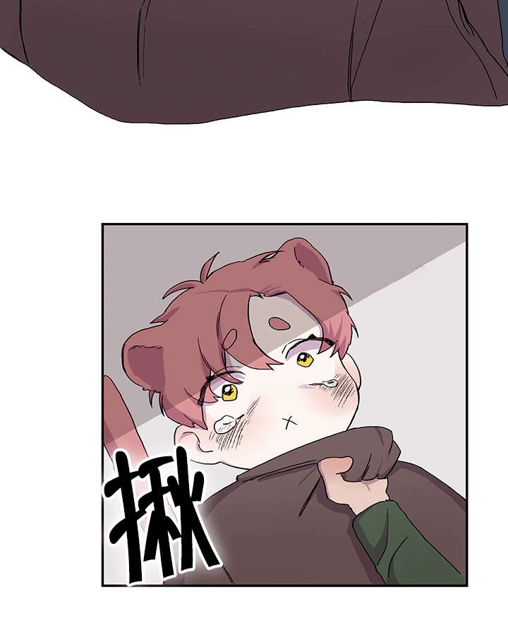 《狐狸的天性》漫画最新章节第22章找上门来免费下拉式在线观看章节第【14】张图片