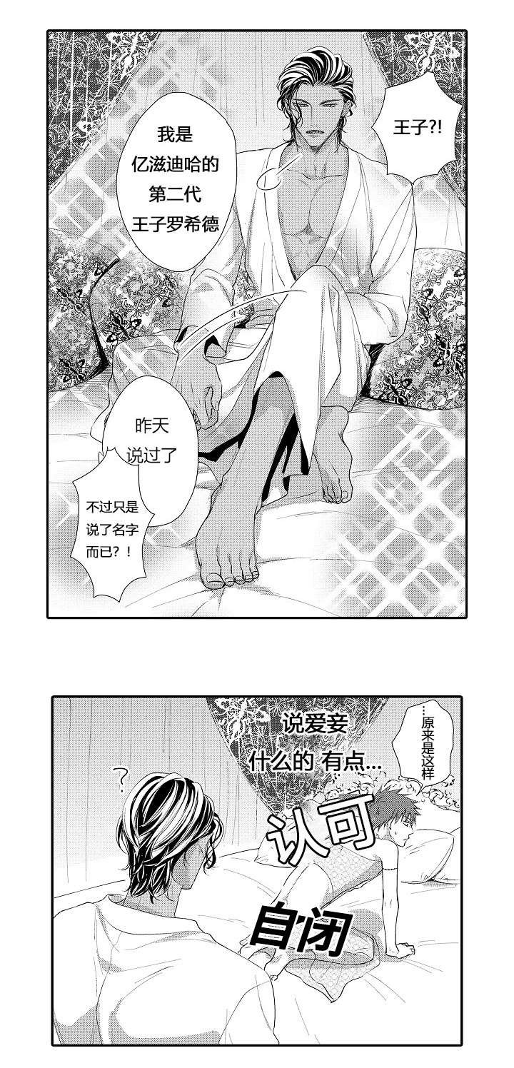 《皇家协议》漫画最新章节第6章商定协议免费下拉式在线观看章节第【5】张图片