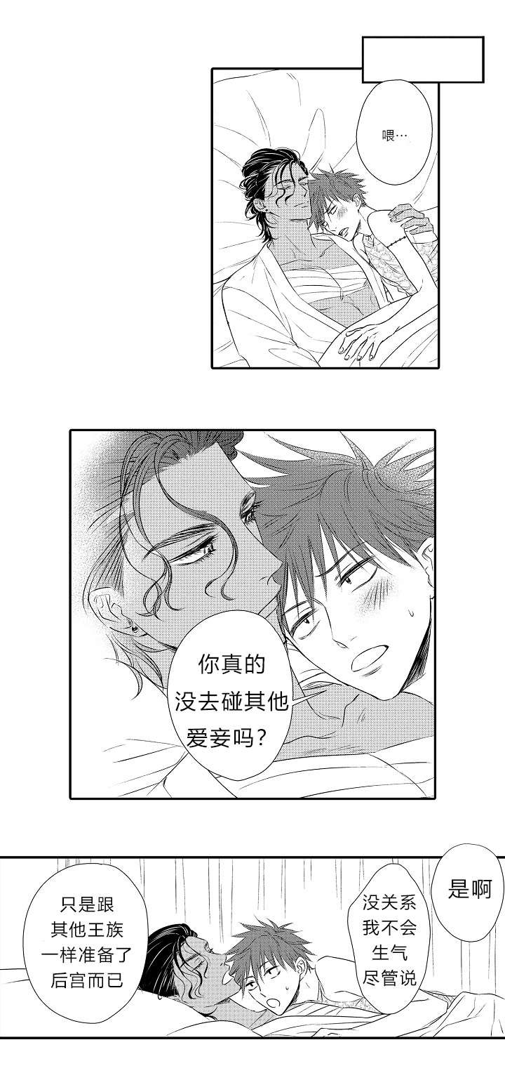 《皇家协议》漫画最新章节第16章表白心迹免费下拉式在线观看章节第【6】张图片