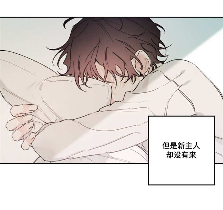 《猫的项圈》漫画最新章节第48章想要见他免费下拉式在线观看章节第【1】张图片