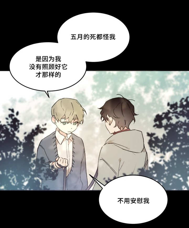 《猫的项圈》漫画最新章节第47章到底是谁免费下拉式在线观看章节第【24】张图片