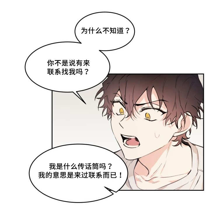 《猫的项圈》漫画最新章节第47章到底是谁免费下拉式在线观看章节第【9】张图片