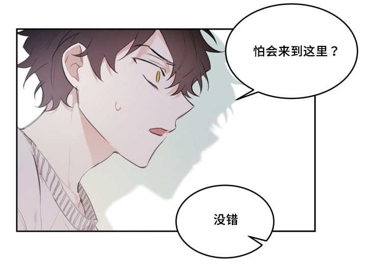 《猫的项圈》漫画最新章节第47章到底是谁免费下拉式在线观看章节第【2】张图片