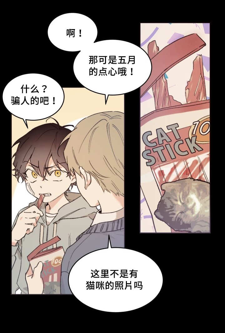 《猫的项圈》漫画最新章节第46章只是羡慕免费下拉式在线观看章节第【4】张图片