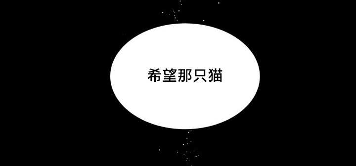 《猫的项圈》漫画最新章节第46章只是羡慕免费下拉式在线观看章节第【25】张图片