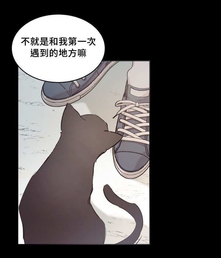 《猫的项圈》漫画最新章节第46章只是羡慕免费下拉式在线观看章节第【21】张图片