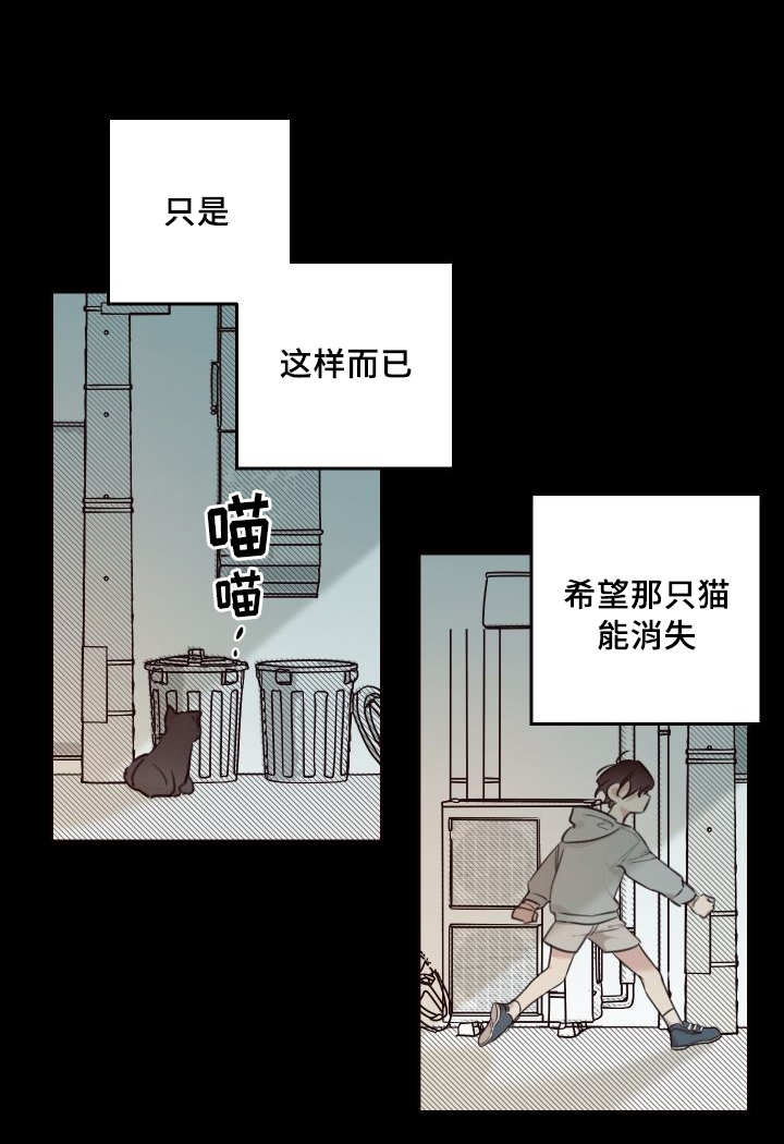 《猫的项圈》漫画最新章节第46章只是羡慕免费下拉式在线观看章节第【19】张图片