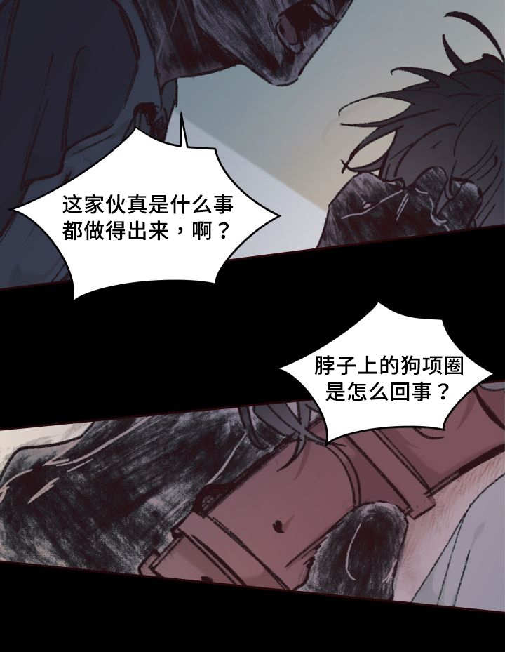 《猫的项圈》漫画最新章节第35章被谁抢走了免费下拉式在线观看章节第【21】张图片