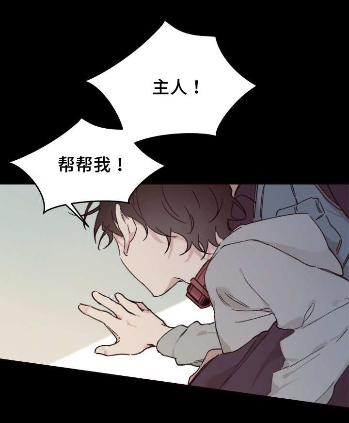 《猫的项圈》漫画最新章节第35章被谁抢走了免费下拉式在线观看章节第【23】张图片