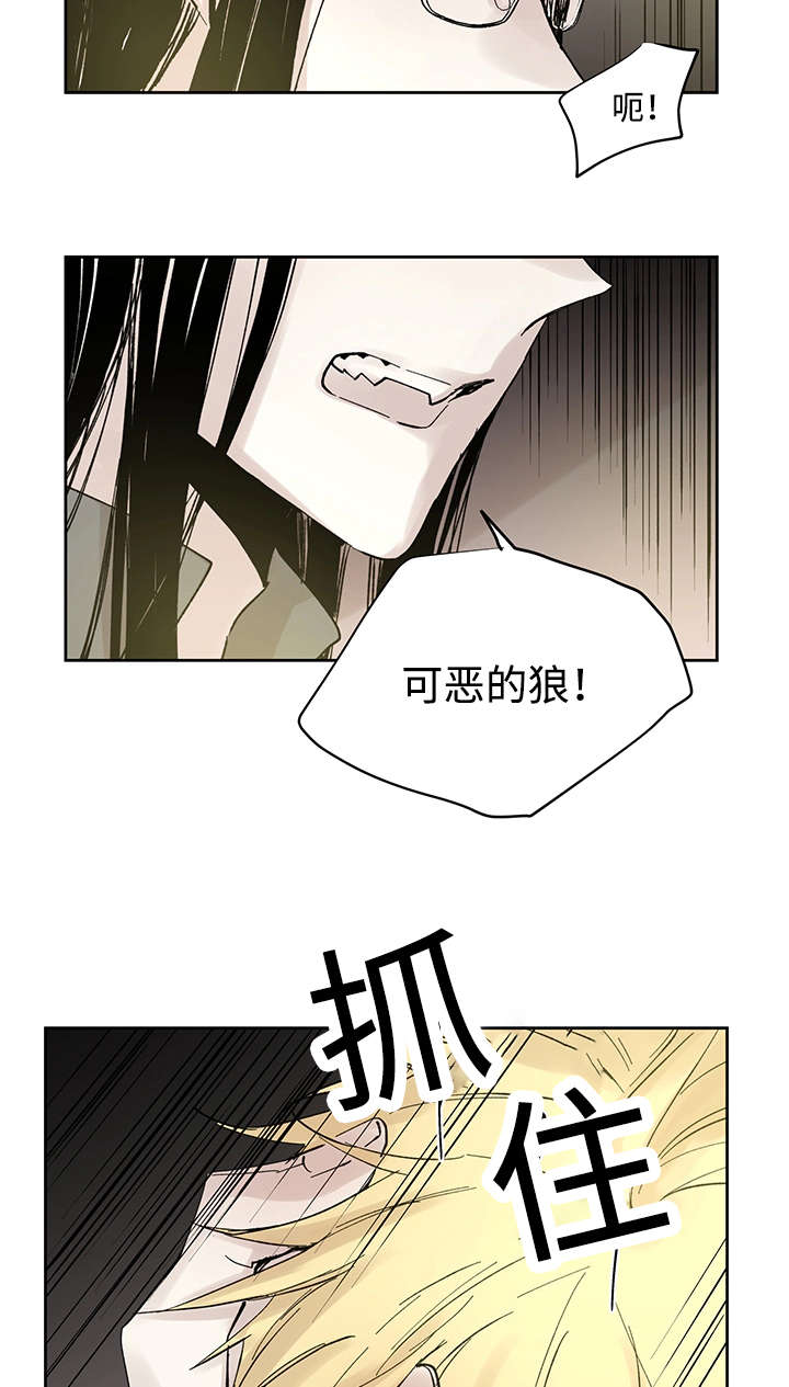 《巫师与狼》漫画最新章节第24章哪里听过免费下拉式在线观看章节第【8】张图片