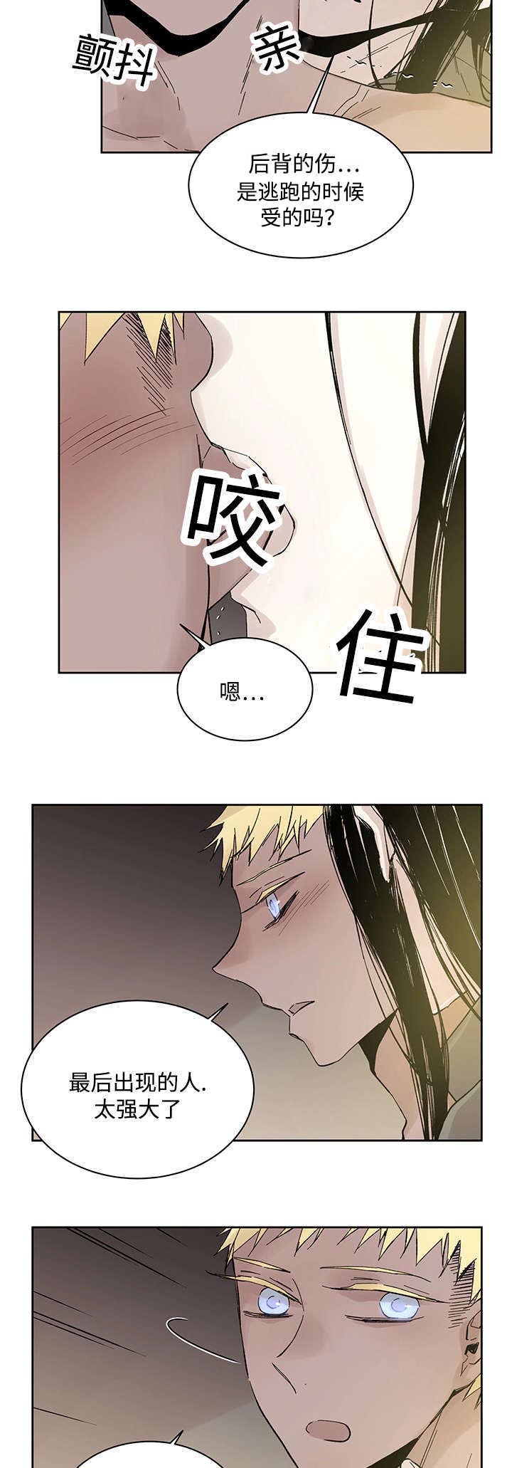 《巫师与狼》漫画最新章节第21章受伤返回免费下拉式在线观看章节第【3】张图片