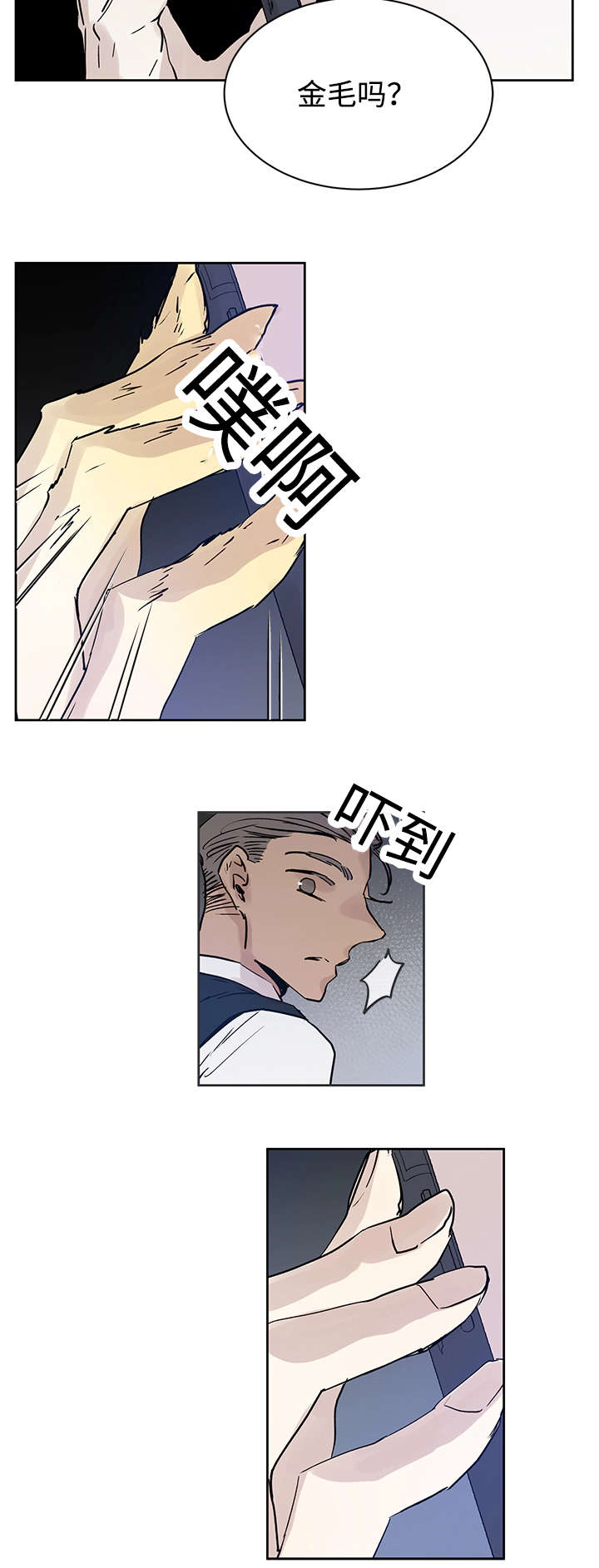 《巫师与狼》漫画最新章节第11章原来在那里免费下拉式在线观看章节第【4】张图片